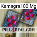 Kamagra100 Mg 15